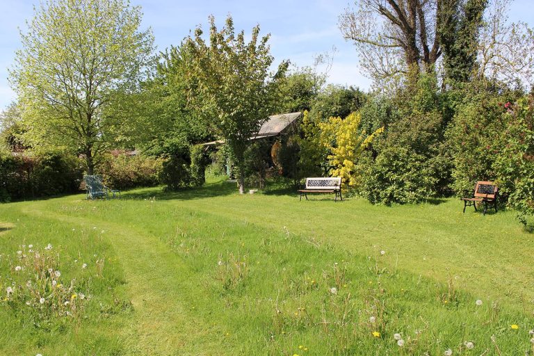 Explore the Green Routine